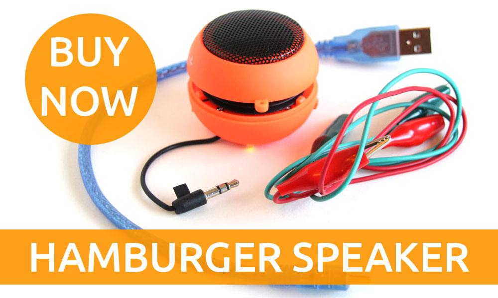 BUY-HAMBURGER-SPEAKER-AMP